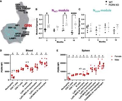 Progranulin loss results in sex-dependent dysregulation of the peripheral and central immune system